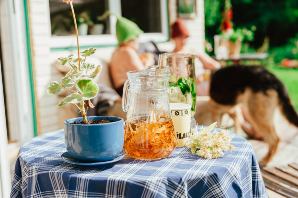 kas-sauna-tuleks-minna-tais-voi-tuhja-kohuga-2 (1) (1)