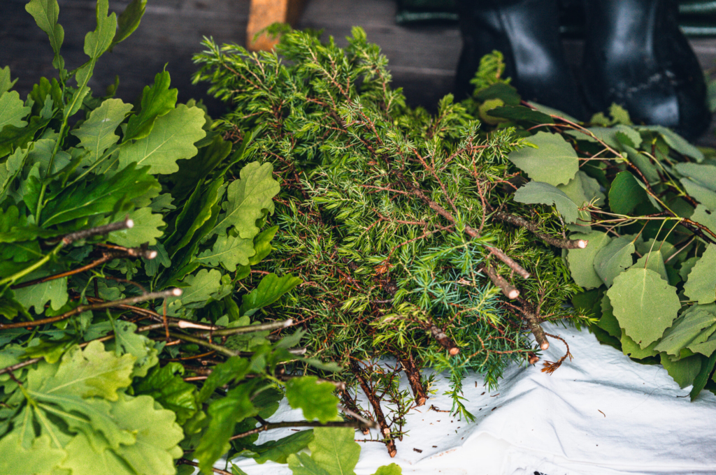 saunaviha-valmistamine-2